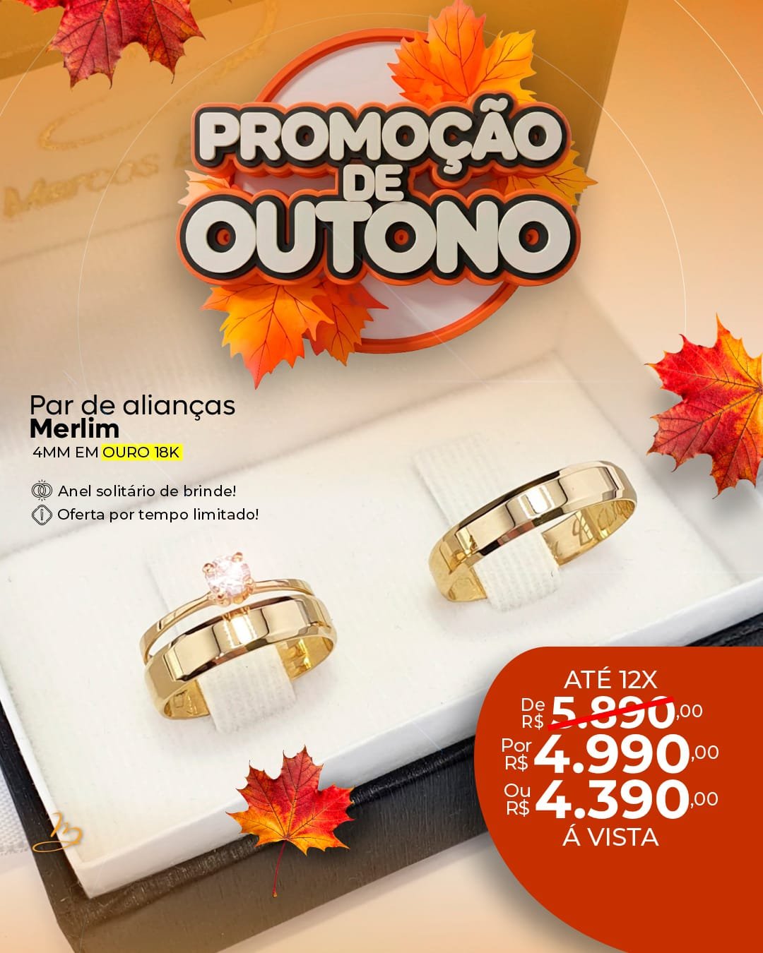 Par de alianças Merlim 4mm